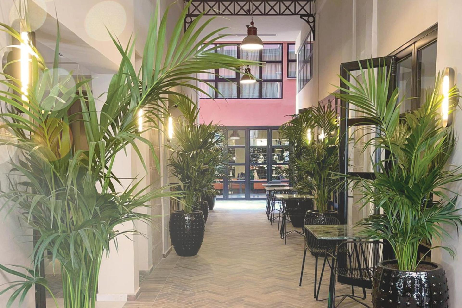Anise, Aluma Hotels & Resorts Athén Kültér fotó